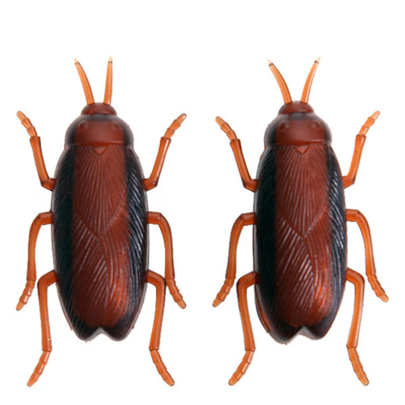 Realistic Cockroach Cat Toy