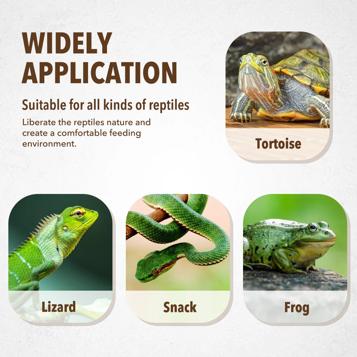 Pets Feeding Plate Reptile Feeding Bowl Vivarium Food Water Dish Resin Bowl For Turtle Gecko Snake Breeding Tray Reptile Bowls