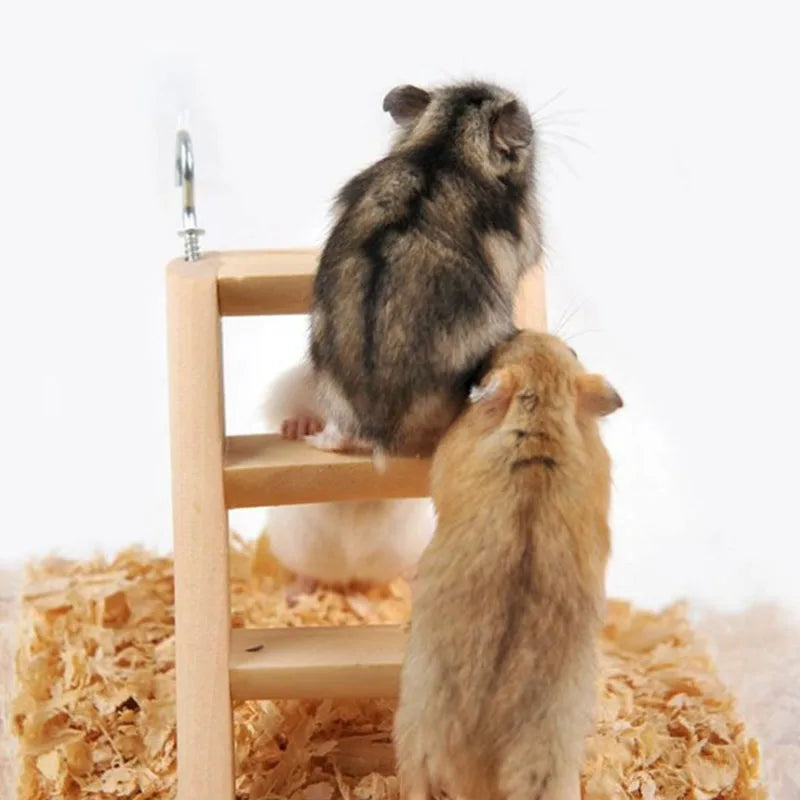WoodlandWhiskers Wooden Ladder For Hamsters And Small Pets 15cm By 6.5cm - Natural Color Durable Wood Accessory