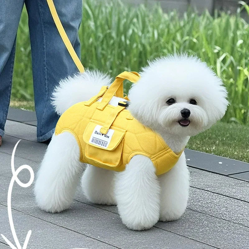 HOOPET Dog Carrier Sling,Hands-Free Chest Pet Carrier,Lightweight FoldableTote with Built-in Leash,Breathable Mesh for Small Dog