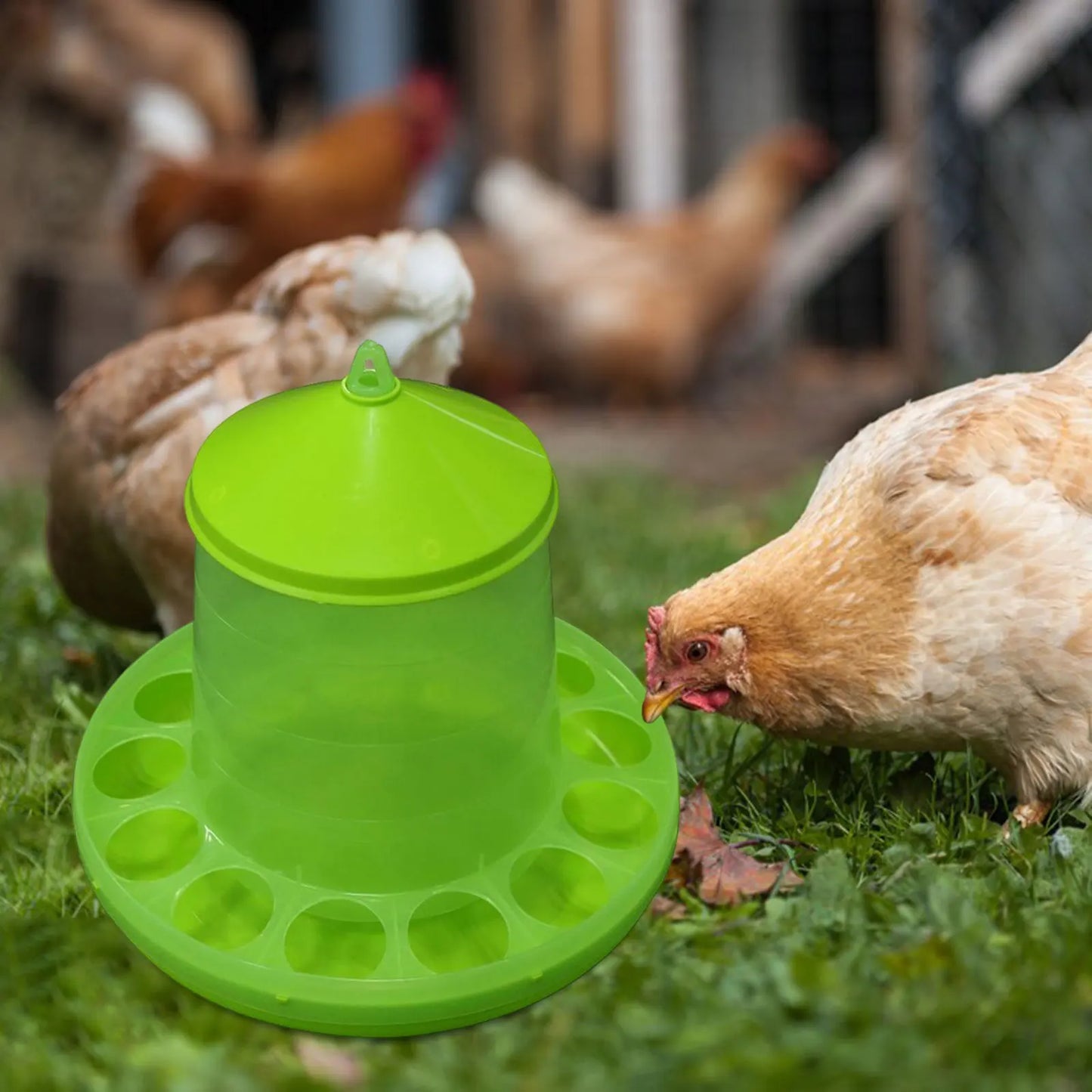 Chicken Waterer Watering Dispenser Automatic Poultry Feeder Animal Drinker for Turkey Ducks Birds Guinea Fowl Peacocks