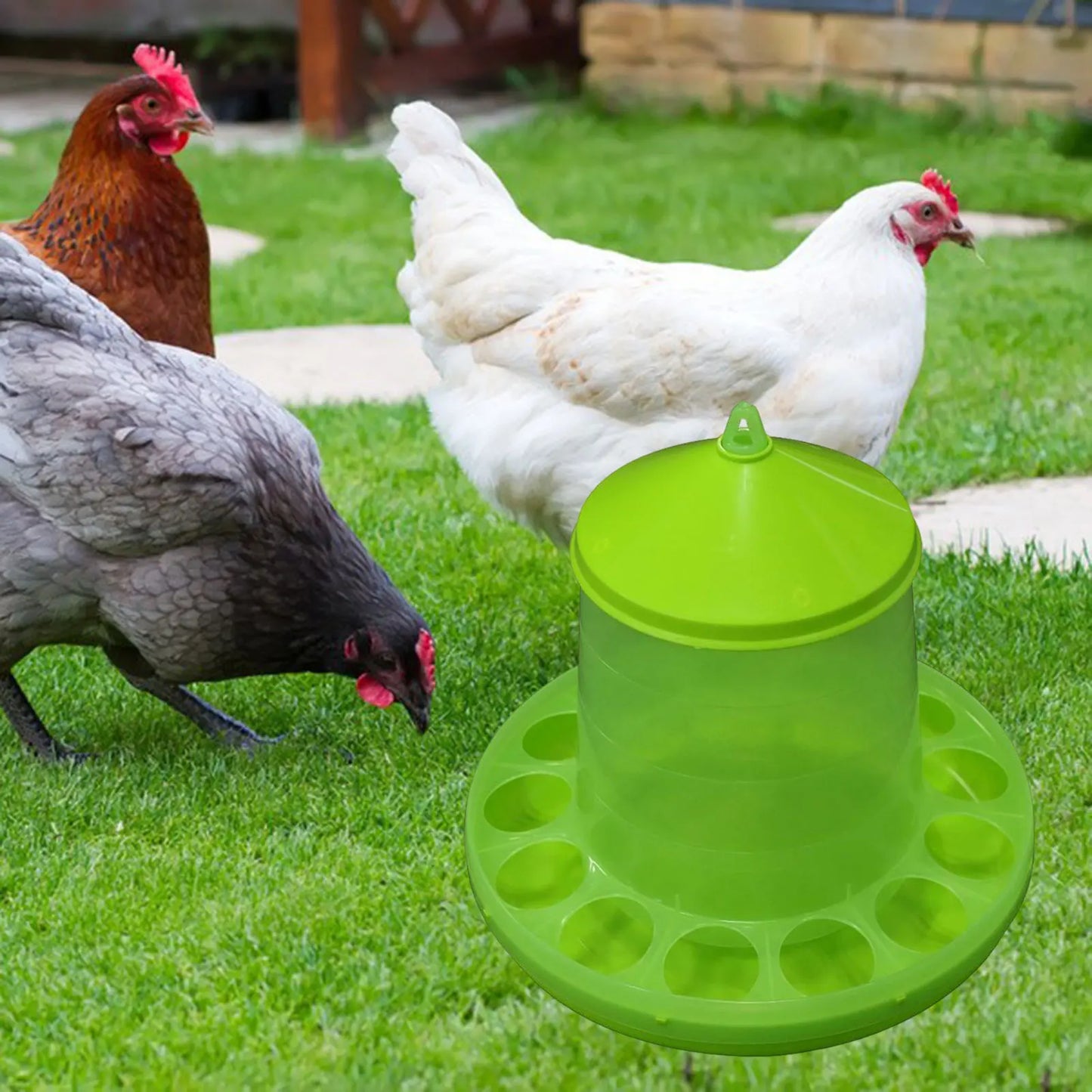 Chicken Waterer Watering Dispenser Automatic Poultry Feeder Animal Drinker for Turkey Ducks Birds Guinea Fowl Peacocks