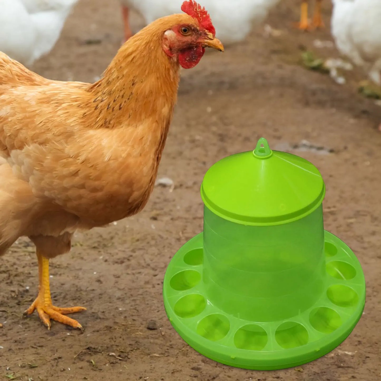 Chicken Waterer Watering Dispenser Automatic Poultry Feeder Animal Drinker for Turkey Ducks Birds Guinea Fowl Peacocks
