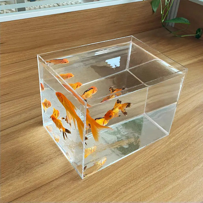 Aquarium Acrylic Fish Tank Betta Fish Display Rack Multi-grids Desktop Small Fish Tank Isolation Turtle Tank Miniature Landscape
