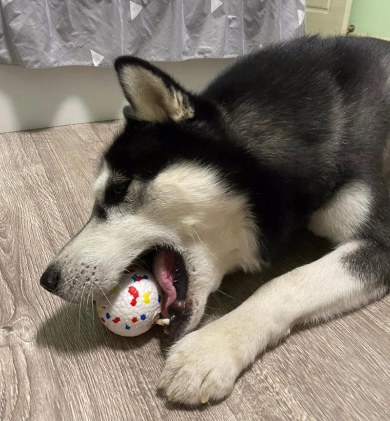 Pet Dog Toy Ball Light Chew Rubber Ball High Elastic Bite Resistance Interactive Throwing Flying Toys for Dogs Pet Accessories