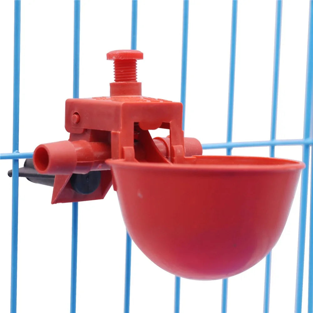 Poultry Drinking Water Bowl Poultry Water Drinking Cups Chicken Hen Plastic Automatic Drinker Chicken pigeon with quail