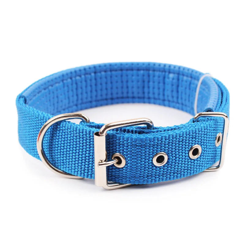 Nylon Dog Collar