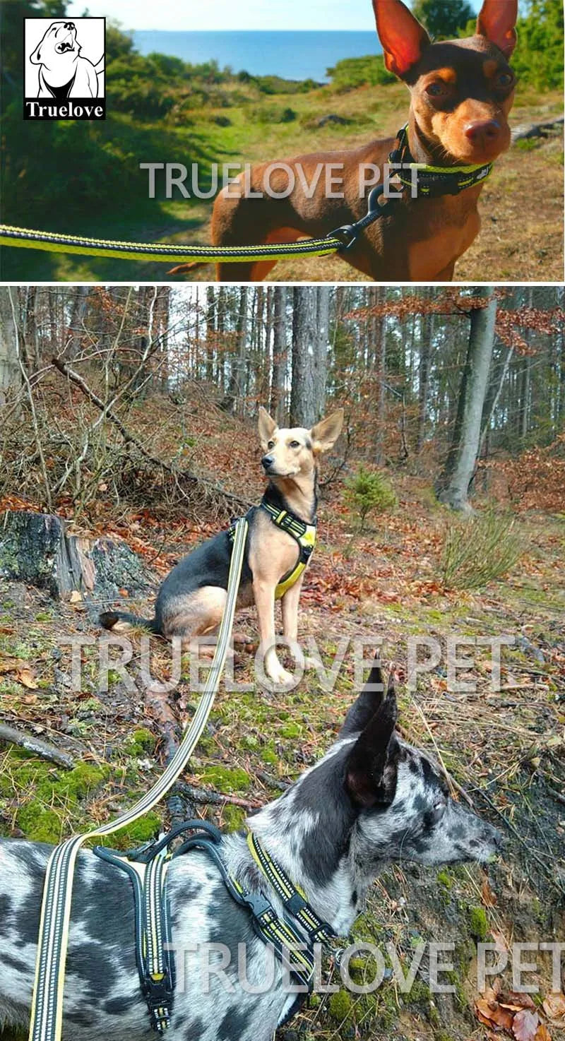 Truelove Soft Mesh Nylon Dog Leash Double Trickness Running Reflective Safe Walking Training Pet Dog Lead Leash Dropship TLL2112