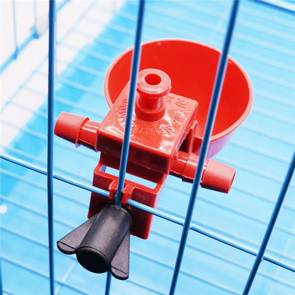 Poultry Drinking Water Bowl Poultry Water Drinking Cups Chicken Hen Plastic Automatic Drinker Chicken pigeon with quail