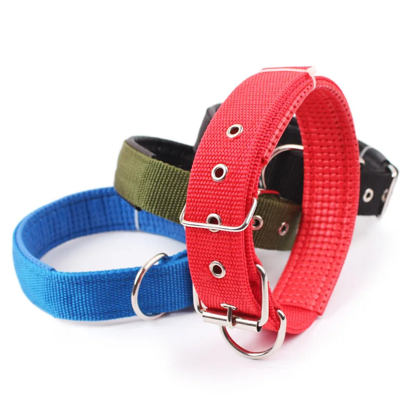Nylon Dog Collar
