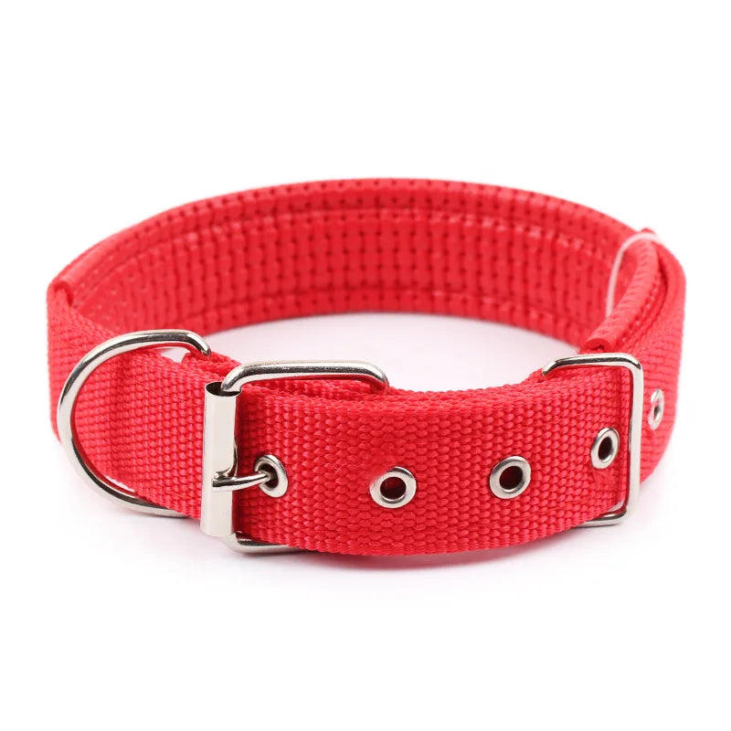 Nylon Dog Collar