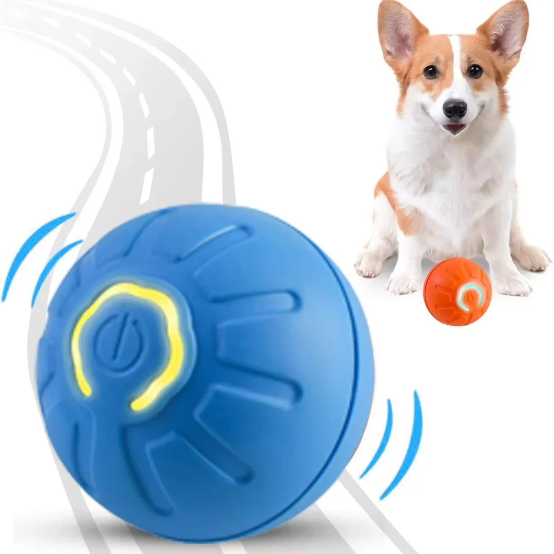 Gravity Electric Pet Ball.