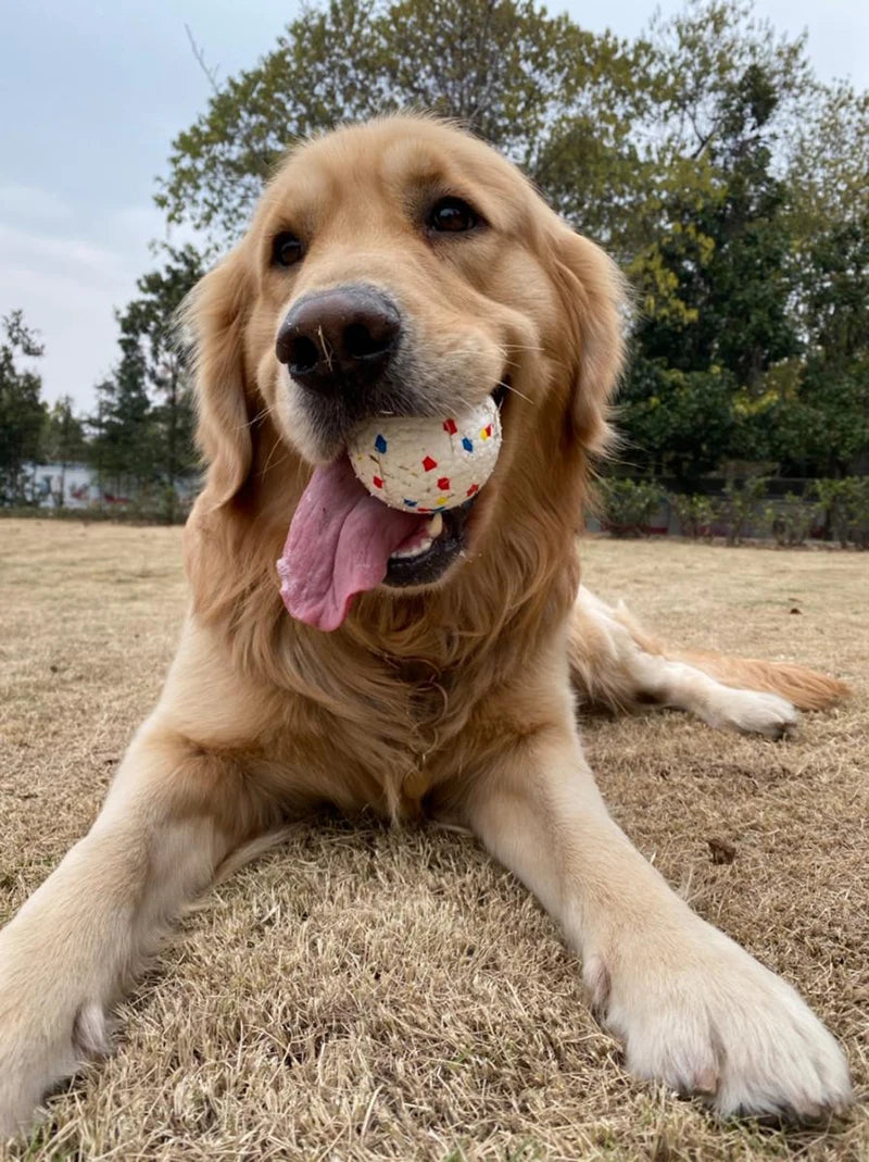 Pet Dog Toy Ball Light Chew Rubber Ball High Elastic Bite Resistance Interactive Throwing Flying Toys for Dogs Pet Accessories