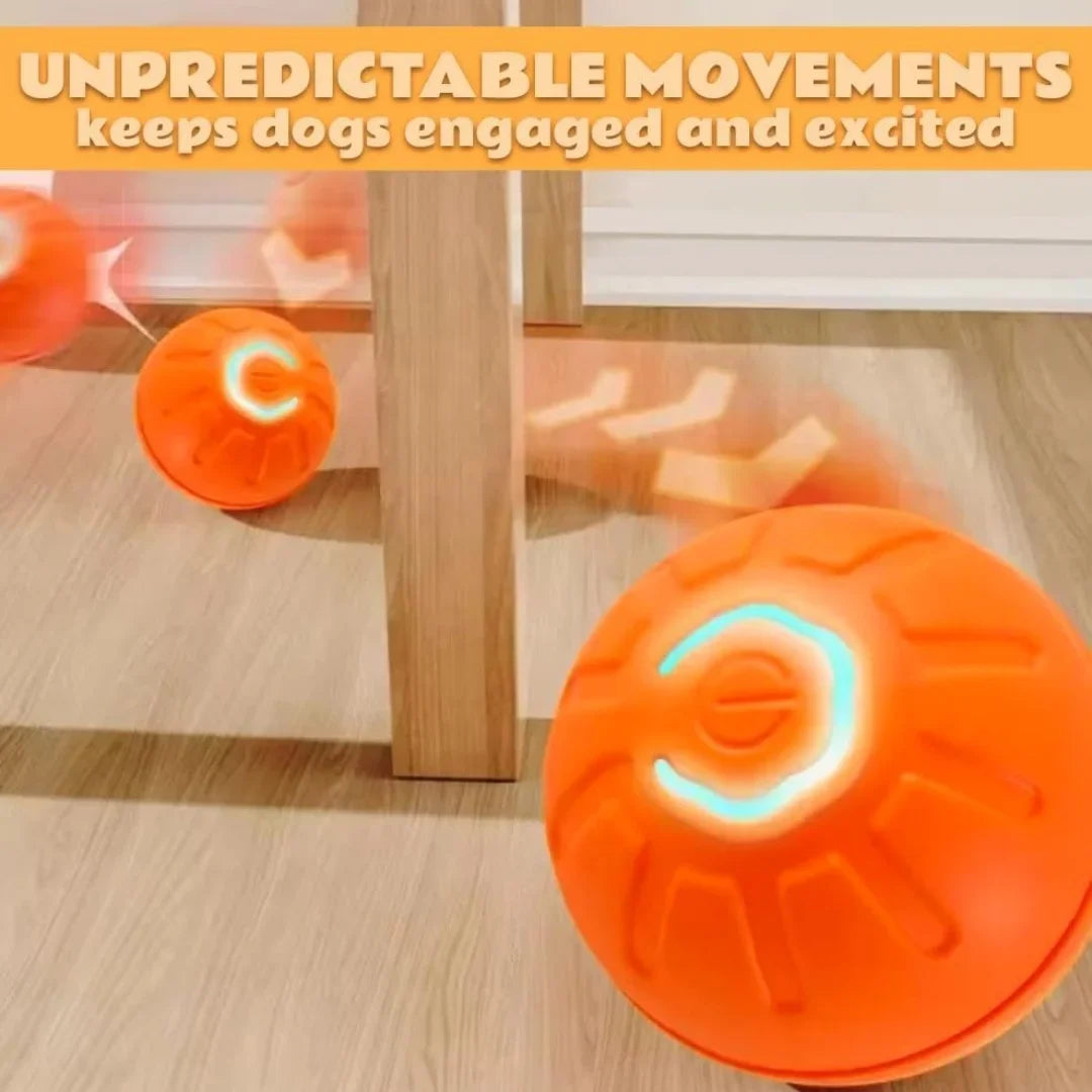 Gravity Electric Pet Ball.