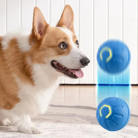 USB Interactive Smart Dog Toy Ball Automatic Moving Rotating Chew For Puppies Luxury Sport Fashion Pet Toy Plastics Box Packing