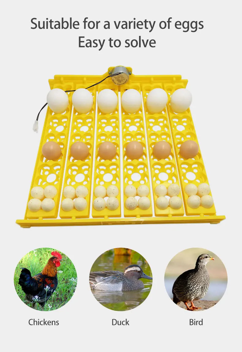 156 Quail Eggs Tray Incubator Turner Automatically Turn Eggs  Poultry Incubation Equipment Chicks Ducks & Other Poultry Incubato