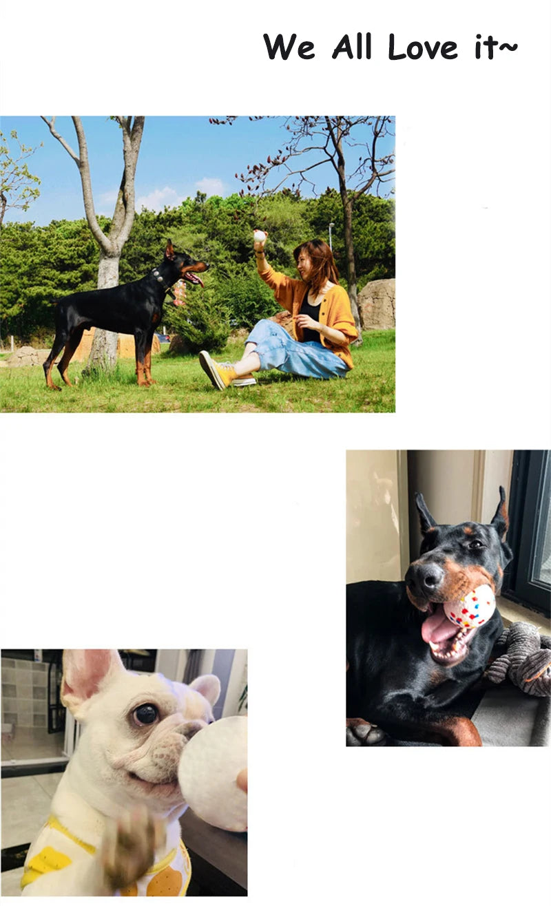 Pet Dog Toy Ball Light Chew Rubber Ball High Elastic Bite Resistance Interactive Throwing Flying Toys for Dogs Pet Accessories