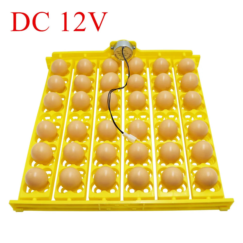 156 Quail Eggs Tray Incubator Turner Automatically Turn Eggs  Poultry Incubation Equipment Chicks Ducks & Other Poultry Incubato