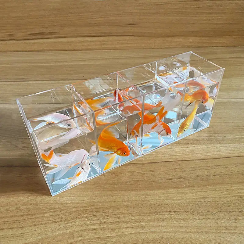 Aquarium Acrylic Fish Tank Betta Fish Display Rack Multi-grids Desktop Small Fish Tank Isolation Turtle Tank Miniature Landscape