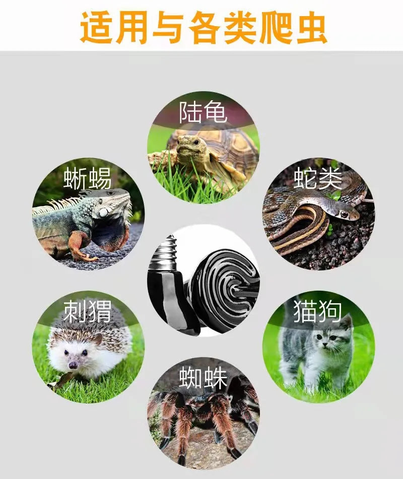 Reptile heat preservation lamp ceramic heating lamp  reptile  small pet ceramic heating lamp cover set against scald