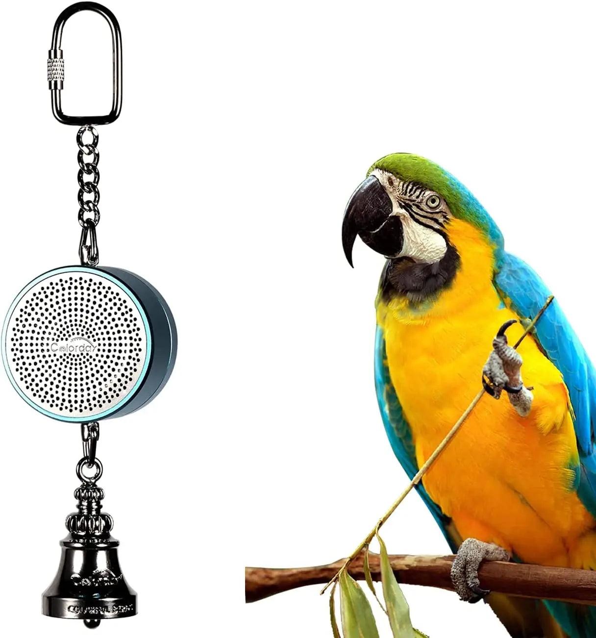 Parrot Toys to Teaching Training Bird Talking Coach Interactive Recording Playback Retell Electronic Voice Chewing Tearing  Bell
