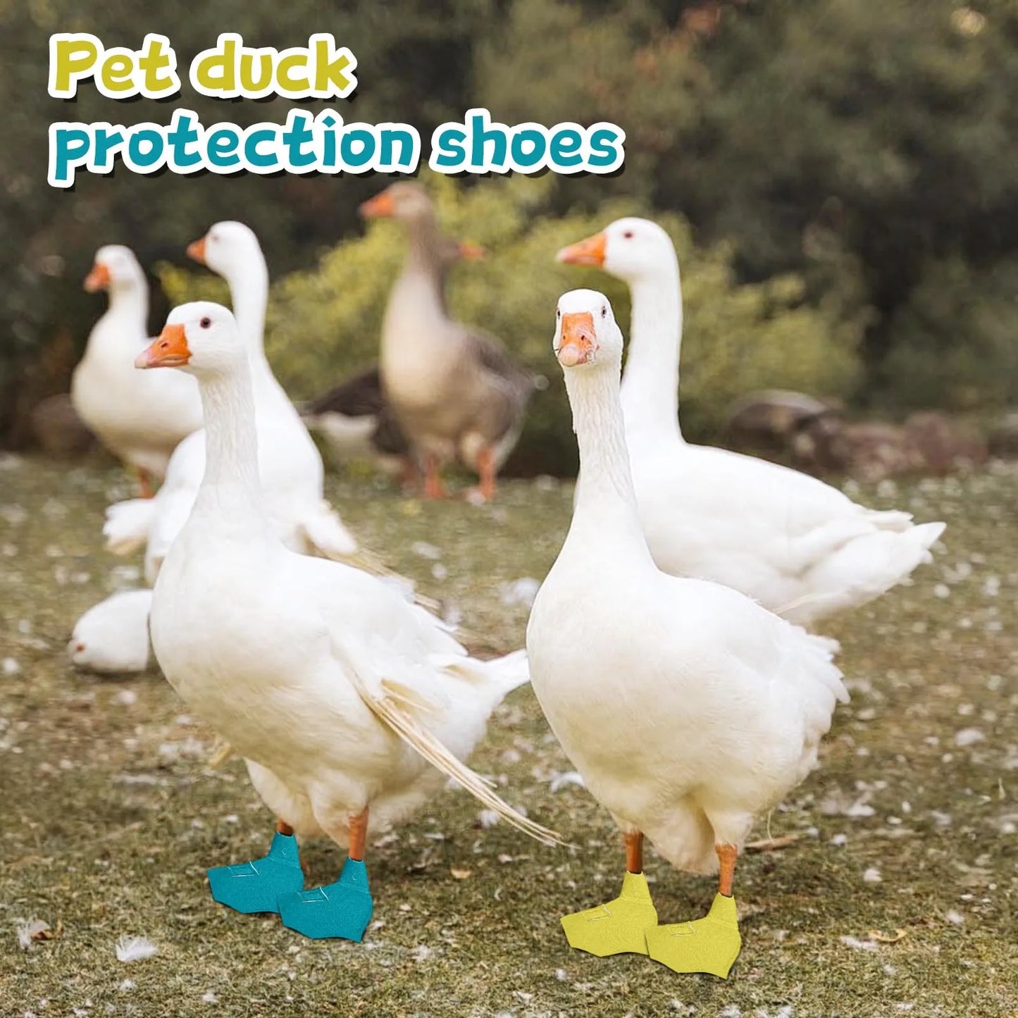 Pet Supplies Duck Goose Shoes Pet Cole Foot Poultry Boots Pet Duck Boots with Protective Soles Protective Shoe Set Pet Products