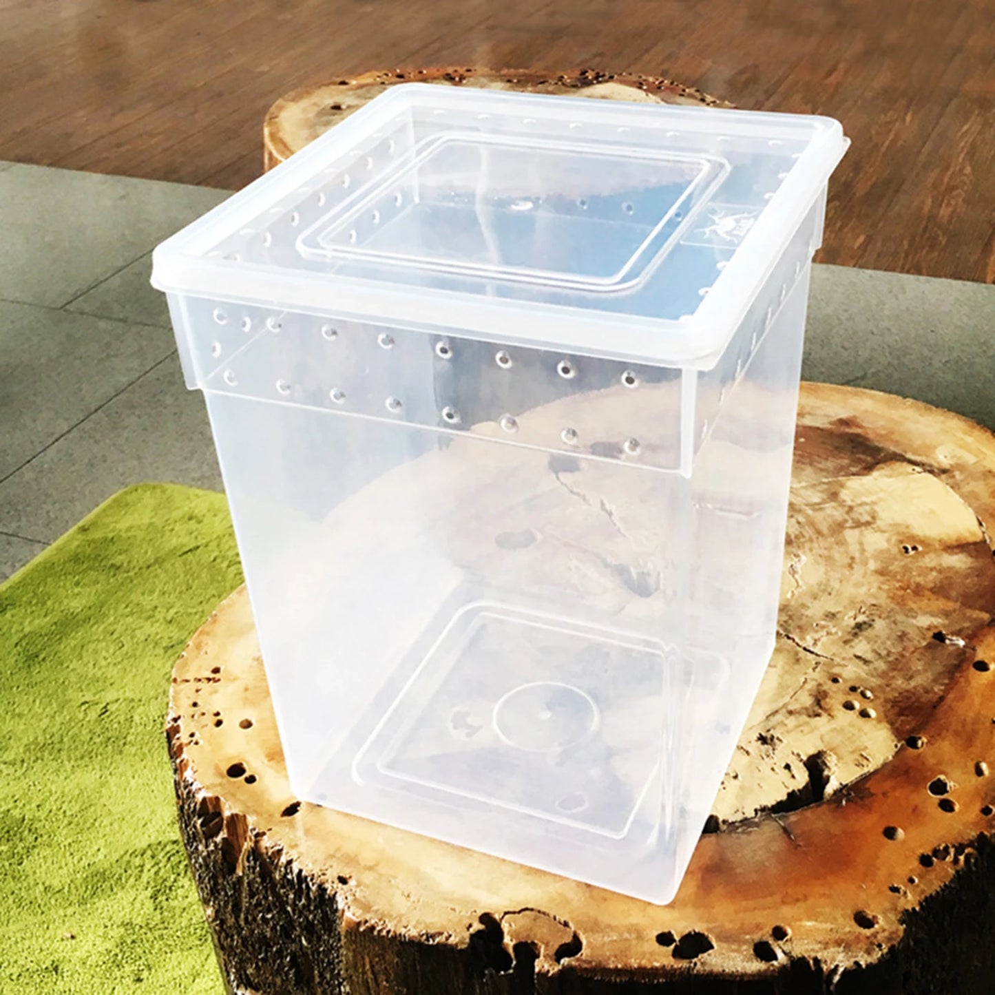 Pets Reptile Feeding Box Tarantula Enclosure Turtle Tank Aquarium Lizard Container Animals Habitat Cage For Frog Spider Gecko