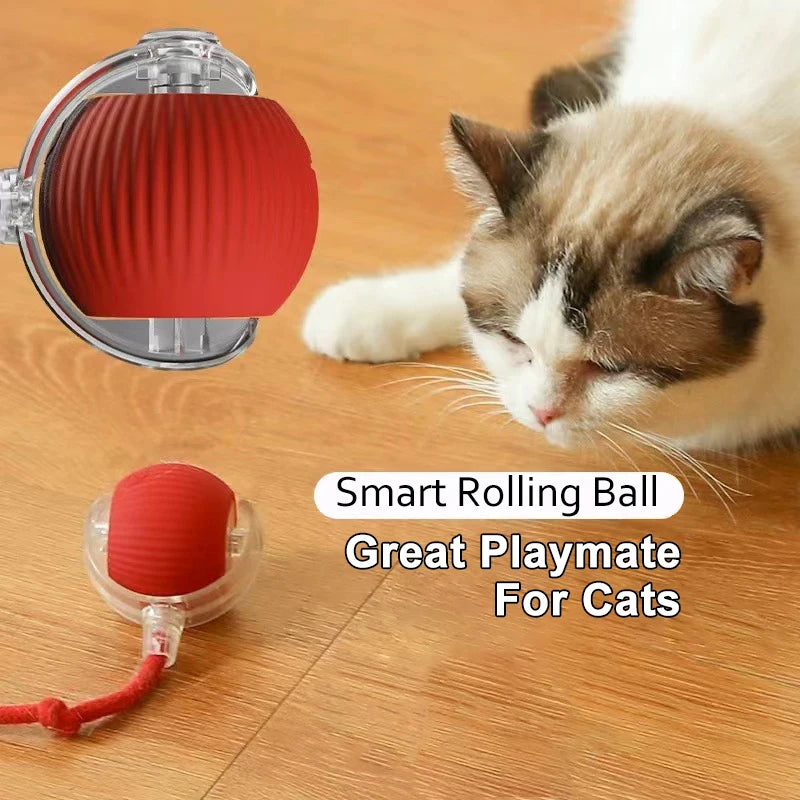 Smart Pet Toy 360° Automatic Interactive Dog Smart Ball Toy with Rope Interactive Cat Toys USB Charger Rolling Ball for Cats