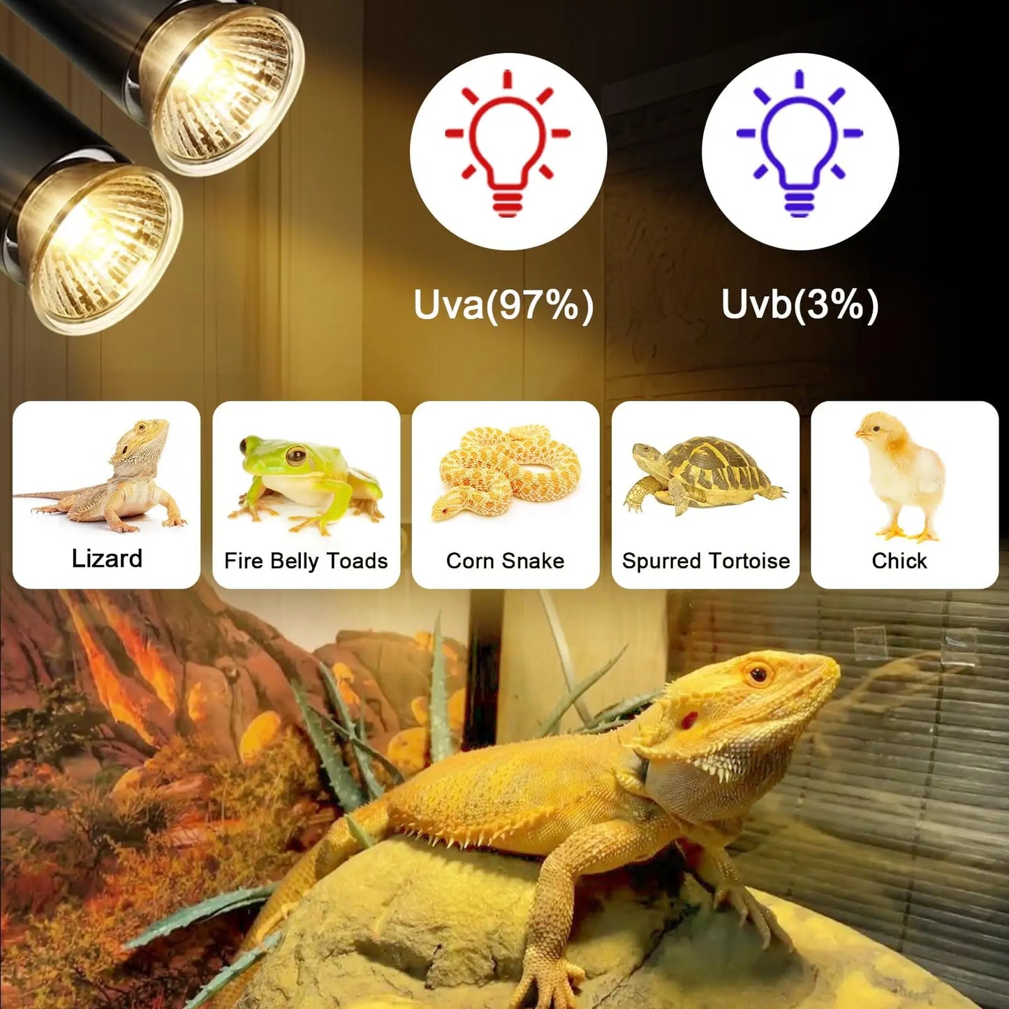 Reptile Heat Lamp Double-Head Heat Lamp with Clamp UVA UVB Reptile Light with Intelligent Cycle Timer with 2 Bulbs 25W+50W