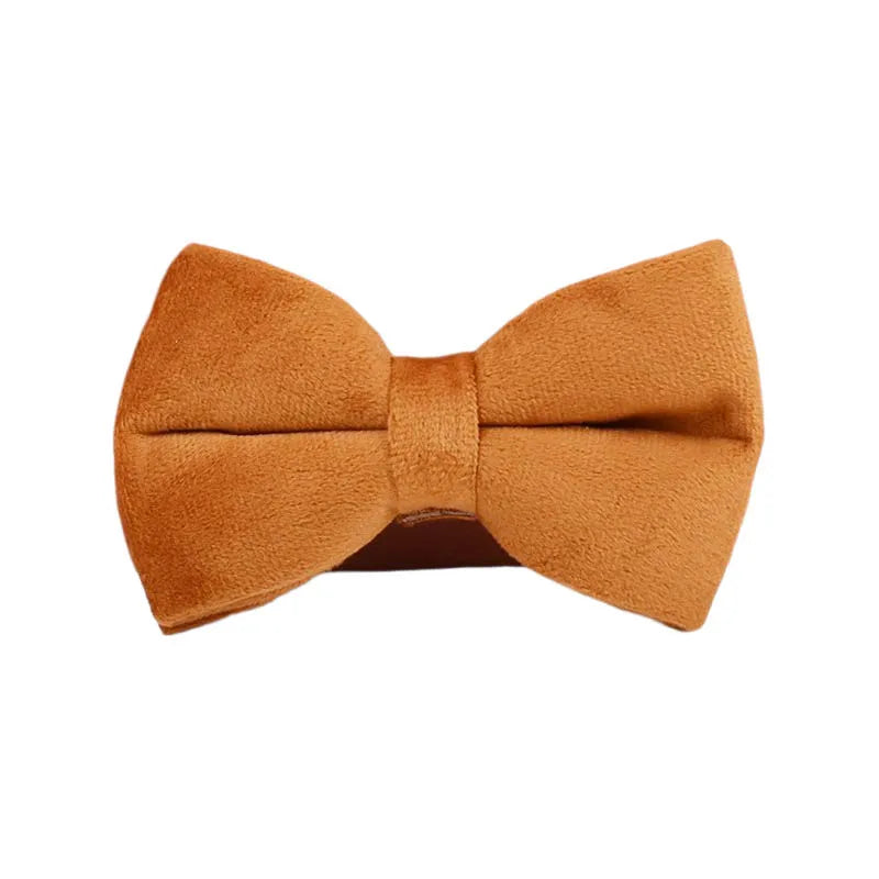 Ancient Pottery Velvet Dog Collar And Leash Set For Dogs Custom Engraved Nameplate Pet Supplies Dog Leash Velvet 21