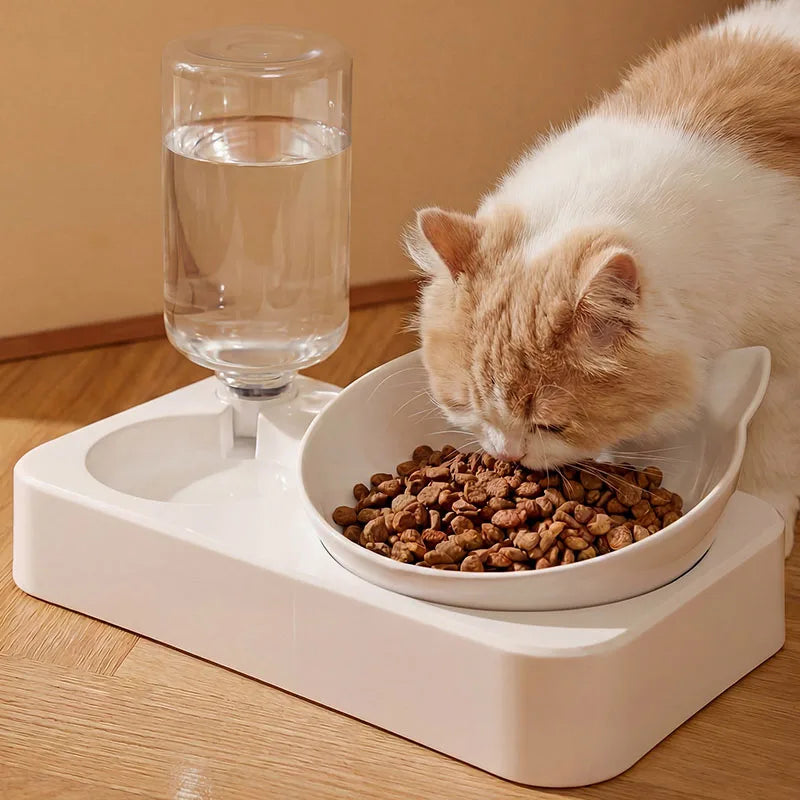 2-in-1 Pet Dog Cat Food Water Feeder Bowl Double Bowls Anti-Slip Automatic Water Dispenser Pet Feeding Supplies for Dogs Cats