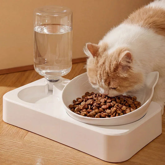 2-in-1 Pet Dog Cat Food Water Feeder Bowl Double Bowls Anti-Slip Automatic Water Dispenser Pet Feeding Supplies for Dogs Cats