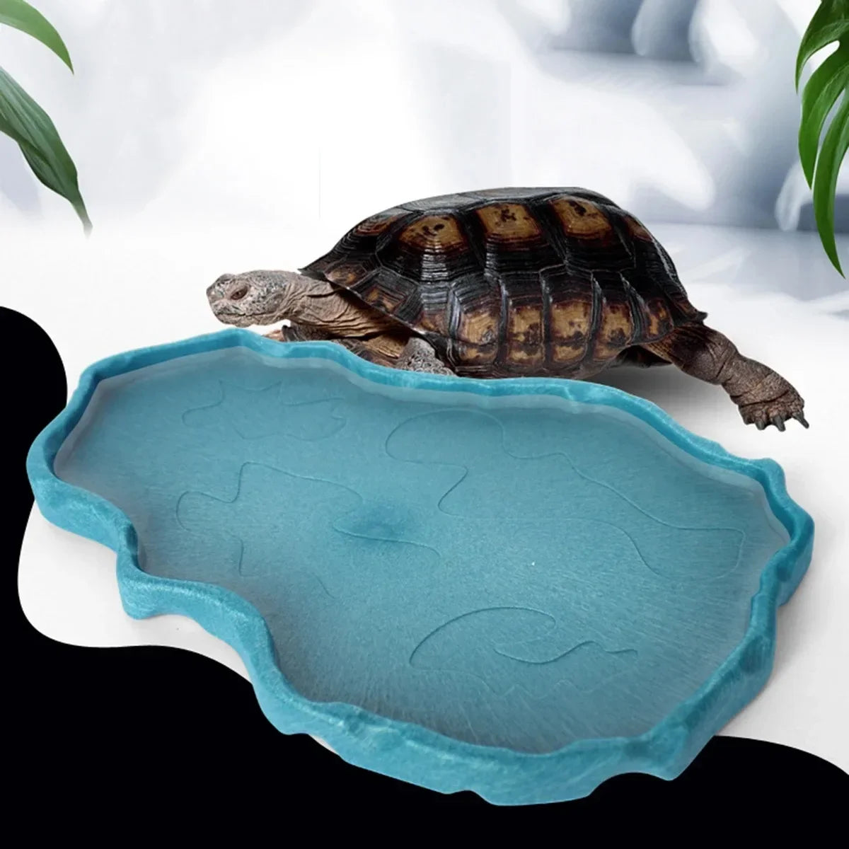 1pc - Versatile Small Reptile Feeding & Bathing Dish - Ideal For Lizards, Turtles -  Reptile Supplies