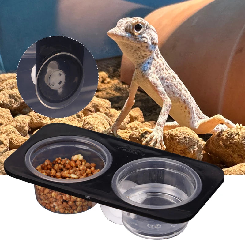 Suction Cup Feeder