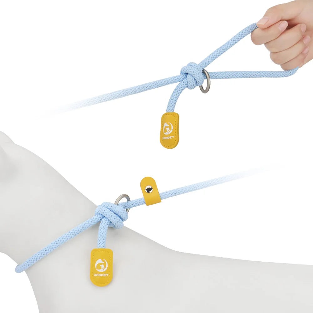 Slip Lead Dog Leash,adjustable Slip Rope,Puppy Training Walking Controlling Lead,Slip Collar Pet Leashes for Small, Medium Dogs