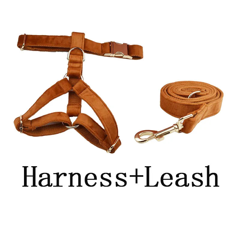 Ancient Pottery Velvet Dog Collar And Leash Set For Dogs Custom Engraved Nameplate Pet Supplies Dog Leash Velvet 21