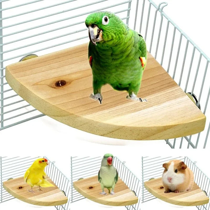 NatureNest Wooden Bird Perch Stand Rectangle Fan Shaped Shelf For Parrot Parakeet And Small Pets Cage Friendly