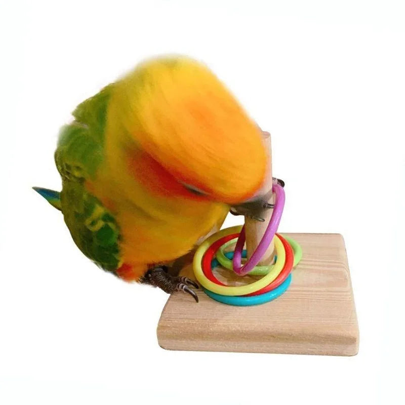 FeatherWorx Bird Training Ring Toy Parrot - Stimulates Mind And Strengthens Bond Through Interactive Enrichment