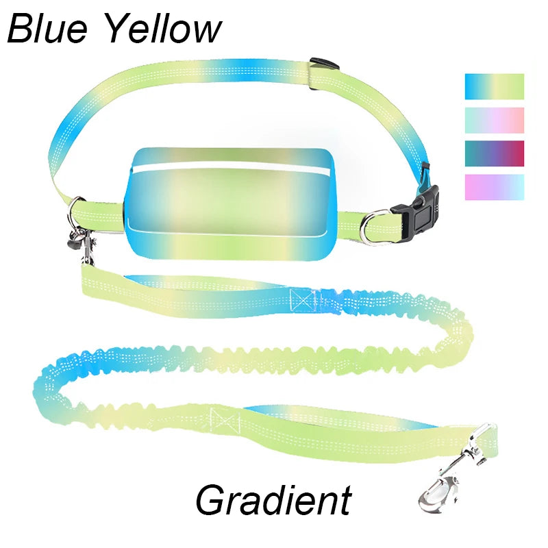 Multifunctional Sports Waist Bag Extended Hand Free Leash Adjustable for dog walking and leash pet running leash with waist bag