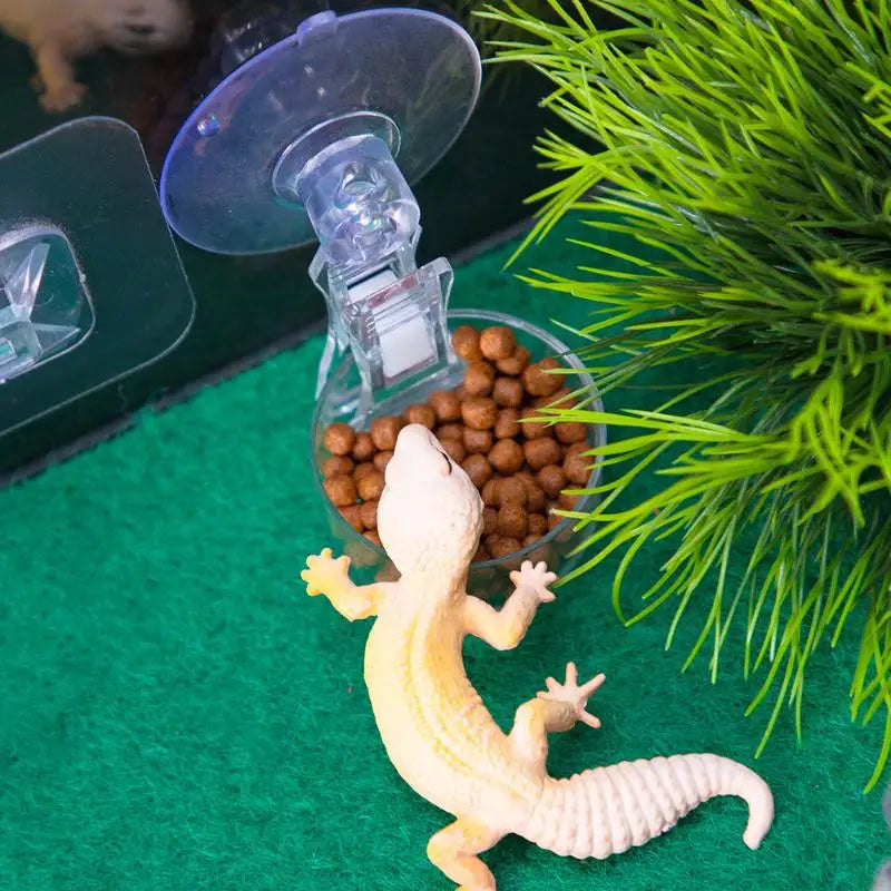Reptile Water Food Bowl Suction Cup Food Tray Gecko Reptile Lizards Spider Tree Frogs Feeder Habitat Decoration Pet Supplies