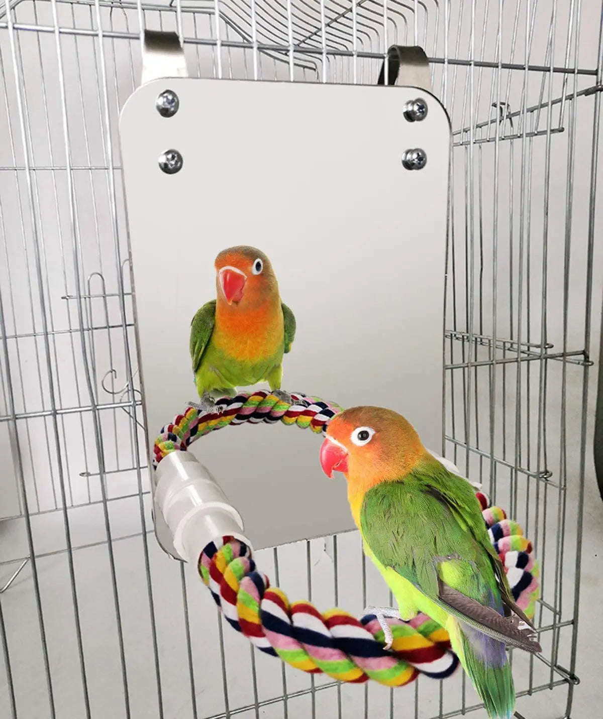 Bird Mirror Perch And Swing Toy For Parrots Parakeets Finches Macaws Interactive Entertainment Preening