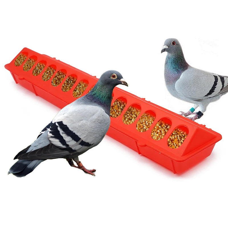 50 Cm Flip-Top Poultry Ground Feeder Chicken Poultry Feeder Trough Chicken Farming Tool Pheasant Feeding Bucket Quality Chick