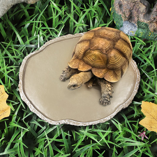 Resin Reptile Feeding Bowl