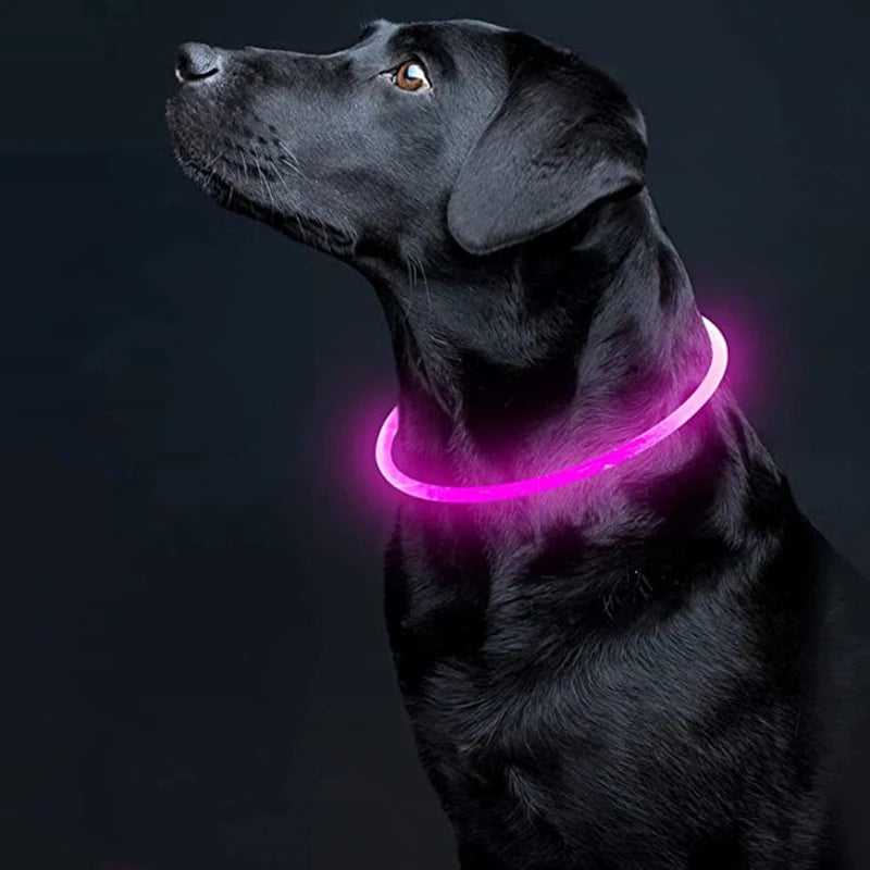 Led Usb Dog Collar
