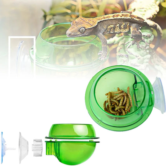 Arboreal Reptile Sucker Feeder Bowl