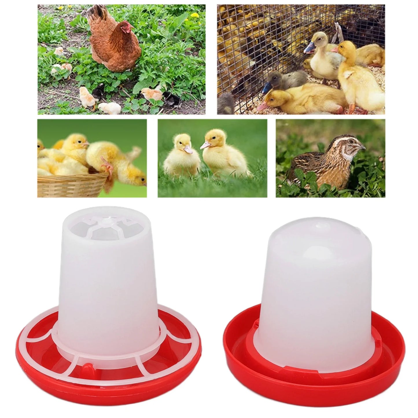 Poultry Feeder Chick Feeder and Waterer Kit Rotary Sleeve Design Automatic Feeding and Watering Poultry Feeder and Waterer Combo