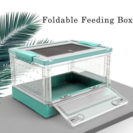 Archlight Foldable Terrarium Box - Detachable, Eco-Friendly