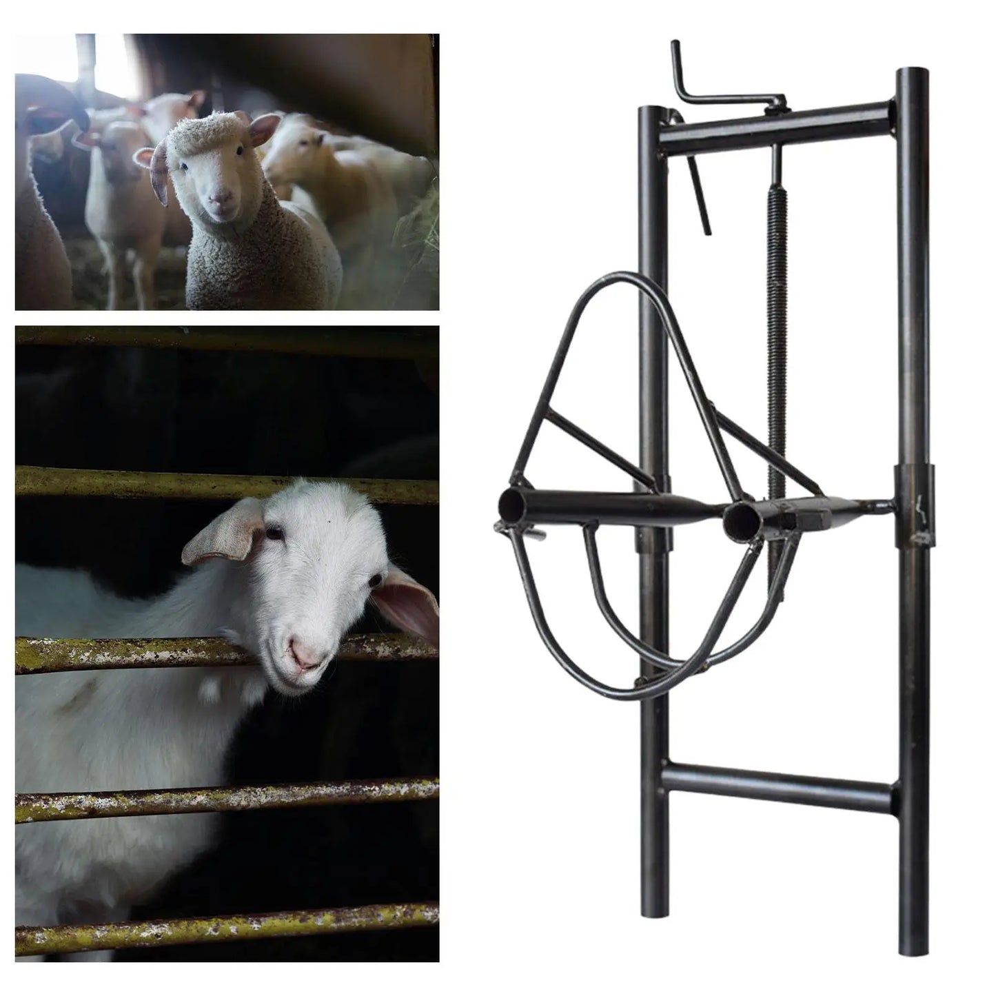 Liftable Sheep Head Holder Livestock Accessories Sheep Halter Heavy Duty Multipurpose Sheep Shearing Stand for Farm Factories