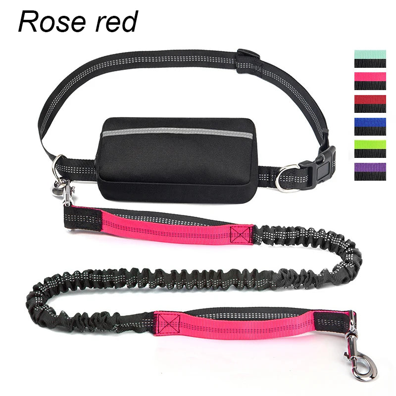 Multifunctional Sports Waist Bag Extended Hand Free Leash Adjustable for dog walking and leash pet running leash with waist bag