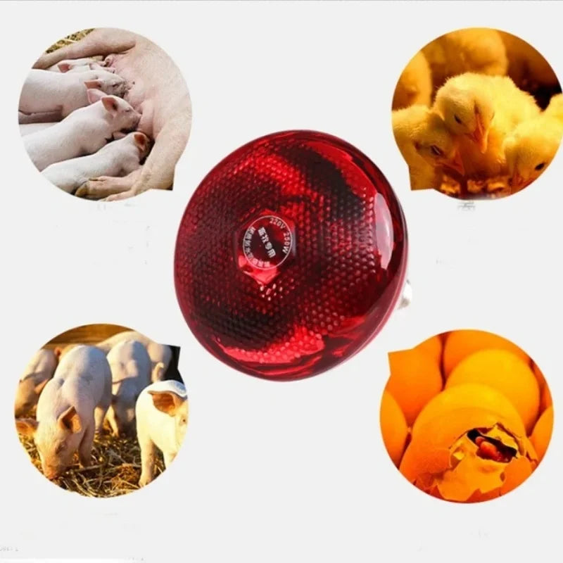 E27 Poultry Heating Lamp Breeding Bulb For Pigl High Quality 100/150/200/250/275W LED Light Pet Brooder Hatch Chick Heater Bulb
